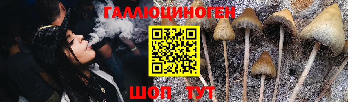 Галлюциногенные грибы Magic Shrooms Горячий Ключ